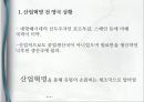 영국경제사,산업혁명 이전 영국의 상황,영국의 상대적 쇠퇴,산업혁명 전 영국 상황,경제적 시사점,신성장이론 3페이지