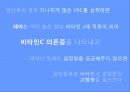 임산부 비타민C 고 용량 섭취,아이의 불충분한 비타민C,엽산과 철분흡수 촉진,항산화 작용,임신빈혈,태아 두뇌 발육 저해,기니피그 24페이지