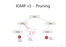 IGMP & Multicast Routing Protocol 12페이지