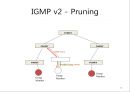 IGMP & Multicast Routing Protocol 14페이지