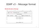 IGMP & Multicast Routing Protocol 16페이지