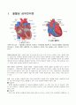 ★ 성인간호학 - 울혈성 심부전 ( 울혈성 심부전, Acorn Cardiac Support Device, 간호과정, 느낀점 ) 2페이지