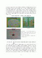 (영유아프로그램 개발과 평가)프로젝트 접근법의 이론적 기초, 교육목표 및 원리, 교육과정에 대해 설명하고, 한국 유아교육 현장에의 적용 시 강점과 약점에 대해 논하시오. 6페이지