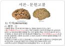 , 치매사례연구, 노인간호학실습, 발표자료 9페이지