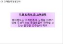 [ 에버랜드 마케팅사례 PPT ] EVERLAND 에버랜드 기업현황과 마케팅 4P,STP,SWOT분석및 에버랜드 경영전략과 서비스전략분석및 느낀점 25페이지