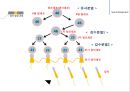 남성생식, 남성생식기, 남성생식기구조, 정자형성과정, 성기능, 테스토스테론, Testosterone 10페이지