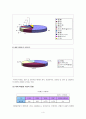 [시세이도 핵심역량] 일본화장품 시세이도(SHISEIDO)의 프랑스,  미국,  중국진출전략 4페이지