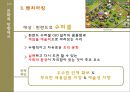 쿠키런 모바일 게임 마케팅전략[CookieRun Mobile game marketing strategy] 20페이지