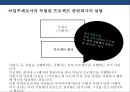 한국형 프로젝트 파이낸싱 성공&실패 사례 분석[Korea project financing Cases and Problems] 12페이지