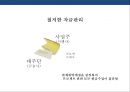 한국형 프로젝트 파이낸싱 성공&실패 사례 분석[Korea project financing Cases and Problems] 15페이지