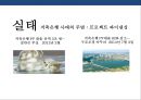 한국형 프로젝트 파이낸싱 성공&실패 사례 분석[Korea project financing Cases and Problems] 39페이지