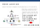 한국형 프로젝트 파이낸싱 성공&실패 사례 분석[Korea project financing Cases and Problems] 50페이지
