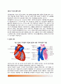 심장의 구조와 혈액순환(심장의 생리, 혈관순환계의 생리, 심장혈관계의 기능) 2페이지