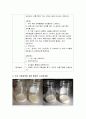 우유가 부패하는 과정을 주제로 관련된 만 4세 대상 과학실험 교육계획안을 만들고 학습자 스스로 우유 부패과정을 실험 활동한 사진결과물을 첨부하세요 4페이지