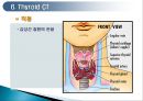 두경부 (Head & Neck) CT 에 관하여 28페이지