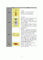 발작 및 간질(seizure & epilepsy) A + 케이스 스터디, case study, 사례연구 10페이지