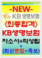 KB생명보험자소서 kb생명자소서 KB생명보험자기소개서★kb생명보험면접자소서+KB생명보험채용자기소개서★KB생명채용자소서 KB생명보험자소서항목 KB생명kb생명보험자소서 KB생명보험연봉 1페이지