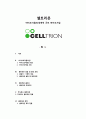 셀트리온.바이오시밀러.세계적 규모 바이오기업 1페이지