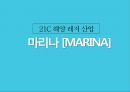 21C 해양 레저 산업 마리나[Marina] 1페이지