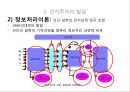 인지주의 학습이론,인지주의의 발달,형태주의 심리학,정보처리이론,학습원리,교수 이론의 시사점 7페이지