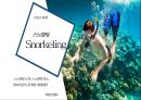 스포츠 관광 - 스노클링, Snorkeling ( 스노클링 소개, 스노클링 명소, SWOT분석, 문제점, 해결방안 ) 1페이지