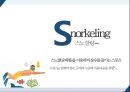 스포츠 관광 - 스노클링, Snorkeling ( 스노클링 소개, 스노클링 명소, SWOT분석, 문제점, 해결방안 ) 3페이지