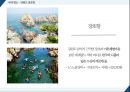 스포츠 관광 - 스노클링, Snorkeling ( 스노클링 소개, 스노클링 명소, SWOT분석, 문제점, 해결방안 ) 11페이지