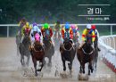 경마 - Horse racing ( 경마소개, 정의, 역사, 배팅방법, 현황, 긍정적 효과, 부정적 효과, 활성화방안 ) 1페이지