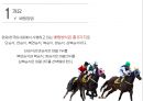 경마 - Horse racing ( 경마소개, 정의, 역사, 배팅방법, 현황, 긍정적 효과, 부정적 효과, 활성화방안 ) 6페이지