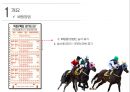 경마 - Horse racing ( 경마소개, 정의, 역사, 배팅방법, 현황, 긍정적 효과, 부정적 효과, 활성화방안 ) 11페이지
