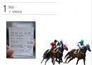 경마 - Horse racing ( 경마소개, 정의, 역사, 배팅방법, 현황, 긍정적 효과, 부정적 효과, 활성화방안 ) 13페이지