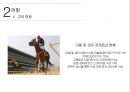 경마 - Horse racing ( 경마소개, 정의, 역사, 배팅방법, 현황, 긍정적 효과, 부정적 효과, 활성화방안 ) 16페이지