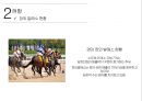 경마 - Horse racing ( 경마소개, 정의, 역사, 배팅방법, 현황, 긍정적 효과, 부정적 효과, 활성화방안 ) 17페이지