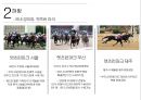 경마 - Horse racing ( 경마소개, 정의, 역사, 배팅방법, 현황, 긍정적 효과, 부정적 효과, 활성화방안 ) 18페이지