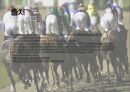 경마 - Horse racing ( 경마소개, 정의, 역사, 배팅방법, 현황, 긍정적 효과, 부정적 효과, 활성화방안 ) 23페이지