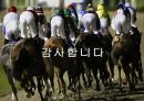 경마 - Horse racing ( 경마소개, 정의, 역사, 배팅방법, 현황, 긍정적 효과, 부정적 효과, 활성화방안 ) 24페이지