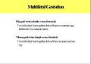 다태 임신 (Multifetal gestation) 의대 간호대 발표 PPT 3페이지