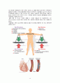 간호, case study, 성인 간호, 급성 심근 경색 (AMI) 20페이지