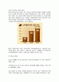 카누 마케팅 사례 11페이지