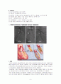 CAG 관상동맥 조영술, PTCA 경피적 관상동맥 성형술 A+ 4페이지