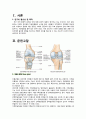 골관절염 케이스 3페이지