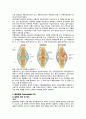 골관절염 케이스 4페이지
