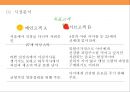 생과일 쥬스 프렌차이즈 사업계획서[Fresh fruit franchise] 6페이지