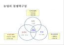 농산물 브랜드의 마케팅 20페이지