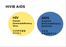 HIV와 AIDS의 이해 4페이지
