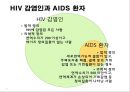 HIV와 AIDS의 이해 5페이지