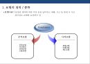 국내 보험의 유통구조 특징 및 문제점 개선전략 3페이지