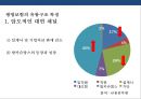 국내 보험의 유통구조 특징 및 문제점 개선전략 19페이지