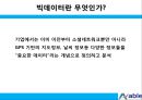 국내 클라우드와 빅데이터 시장의 비전과 한계 8페이지