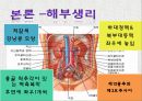 case study , ESRD, 간호과정 간호학과 4페이지